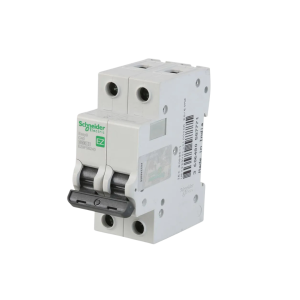 Interruptor termomagnético 2P 40A